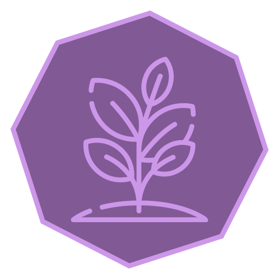 feature-icon